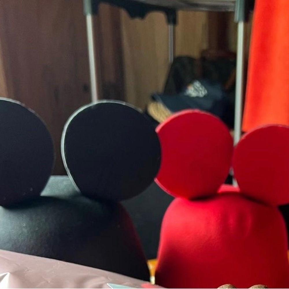 All Ears Hat - Picture 2 of 7